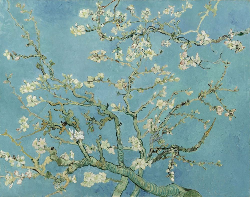 Pintura de Van Gogh: ramos de amendoeira em flor, com flores brancas contra um céu azul-turquesa